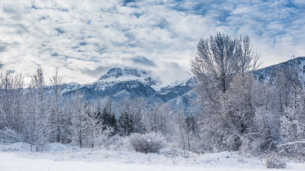 winter mountain landscape