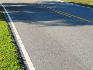 Shadowed Road