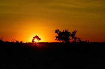 Obraz premium Atardecer