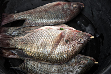 Close up group of fish prepared for cooking in street of Bangkok, Thailand