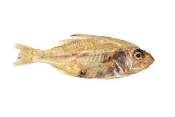 Dried fishes isolated on white background