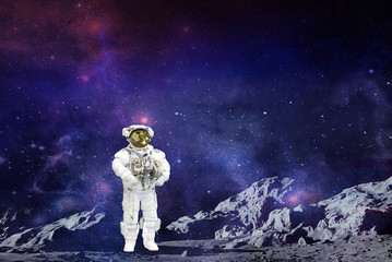 Fototapeta na wymiar moon mission spaceman.elements of this image furnished by NASA