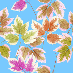 Fototapeta na wymiar Maple leaf. Seamless pattern texture of flowers. Floral background, photo collage