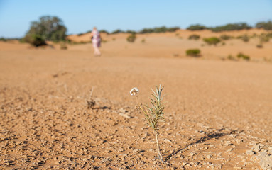 Outback Australia and its dry interia landscape full of relics bone fossils and motor bikesl