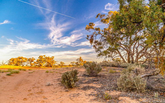 Outback Australia and its dry interia landscape full of relics bone fossils and motor bikesl