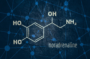Chemical molecular formula hormone noradrenaline. Infographics illustration.