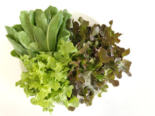 Vegetable salad in a plate placed on a white background.