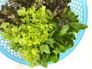 Vegetable salad in a plate placed on a white background.