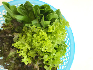 Vegetable salad in a plate placed on a white background.