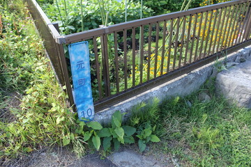 函館市内の風景