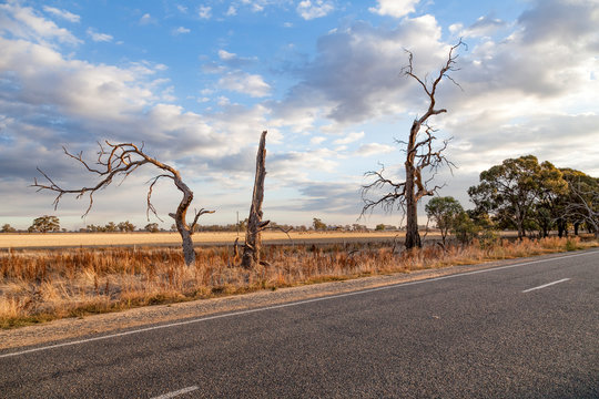 Outback Australia and its dry interia landscape full of relics bone fossils and motor bikesl