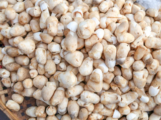 Raw straw mushrooms in the market