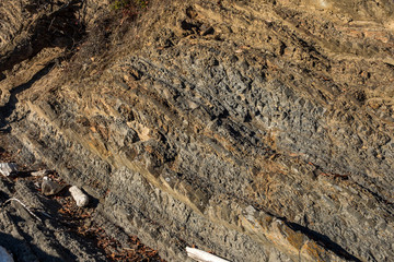 ridged rock surface texture