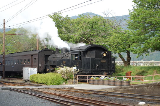 Steam Locomotive 大井川鐵道
