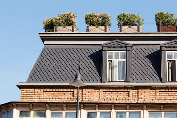 Attic windows on the building roof with flower boxes at sunny day