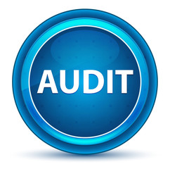 Audit Eyeball Blue Round Button