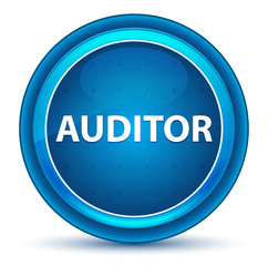 Auditor Eyeball Blue Round Button