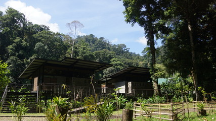 Fototapeta na wymiar Borneo Rainforest Lodge - a luxury accommodation in Danum Valley