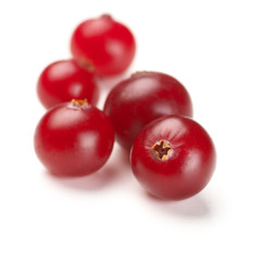 Cranberries close-up on white