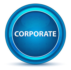 Corporate Eyeball Blue Round Button