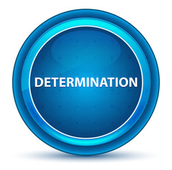 Determination Eyeball Blue Round Button