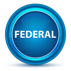 Federal Eyeball Blue Round Button