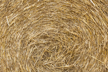 Roll of hay can be used as background