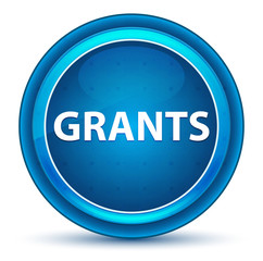 Grants Eyeball Blue Round Button