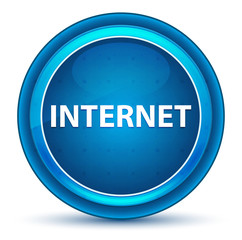 Internet Eyeball Blue Round Button