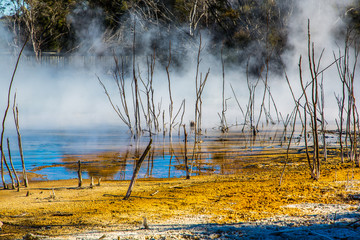 Kuirau Park, Rotorua 