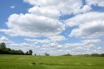 Fototapeta na wymiar Feld mit Wolken