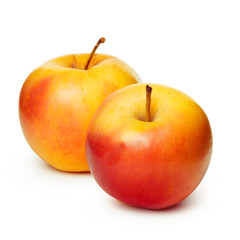 apples on a white background