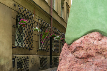 Fototapeta na wymiar window with flowers in old city warsaw poland
