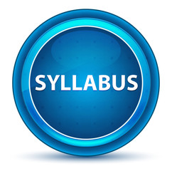 Syllabus Eyeball Blue Round Button