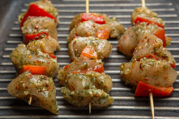 Raw chicken skewers with vegetables and spices