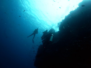 Silhouette of scuba diver group in Blue Sea at one of the famous walls in the Waters of Bunaken Island, Diving Bunaken, Indonesia.