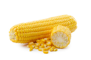 Corn on a white background
