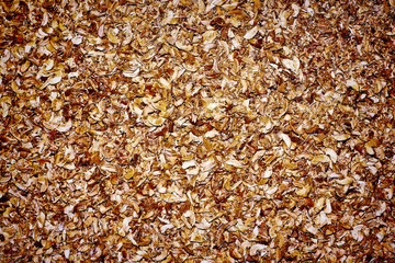 Wooden background