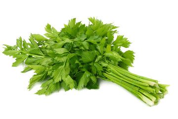 celery leaf isolated on white background. Celery isolated on white. Healthy food