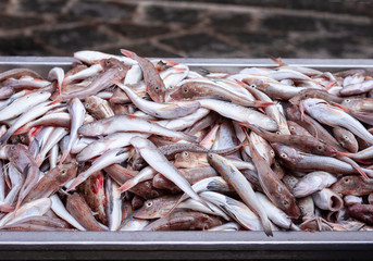 Fresh fish for sale in the fish market of Catania, Sicily, Italy