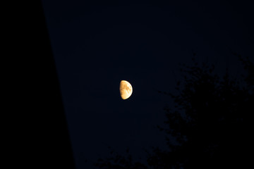 Half moon rising over a roof top early in the evening in southern Germany with mars on the right.