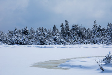 Winter im Hochschwarzwald