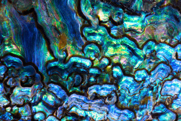 High magnification macro of blue abalone pearl shell with vivid iridescent layers.