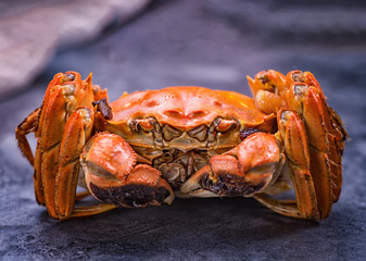 A cooked hairy crab.