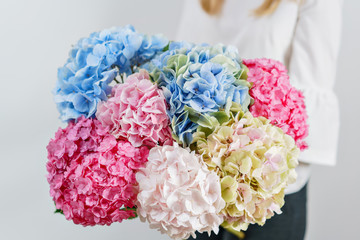 hydrangea , beautiful spring bouquet. Young girl holding a flowers arrangement with various of colors. white wall.
