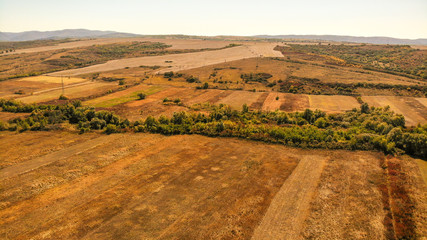 Fototapeta na wymiar Yellow fields in national park Cheile Nerei Beusnita, near the Sasca Montana in Romania