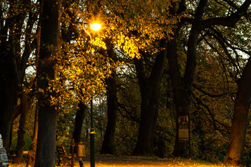 Lamps in the park, autumn and sunset, light and orange colors, romantic scene.
