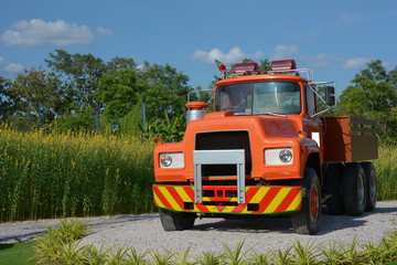 Fototapeta na wymiar Old orange color retro truck in a field