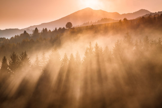 Autumn landscape, sunrise in a foggy morning in the region of Orava, Slovakia, Europe.