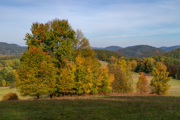 Herbst im Pfälzerwald